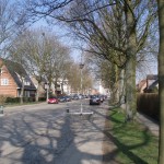 Geelhandlaan